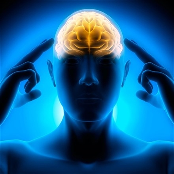 Fundamentos da Neurociência - Sob o Comando do Cérebro